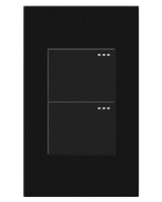 Interruptor doble
